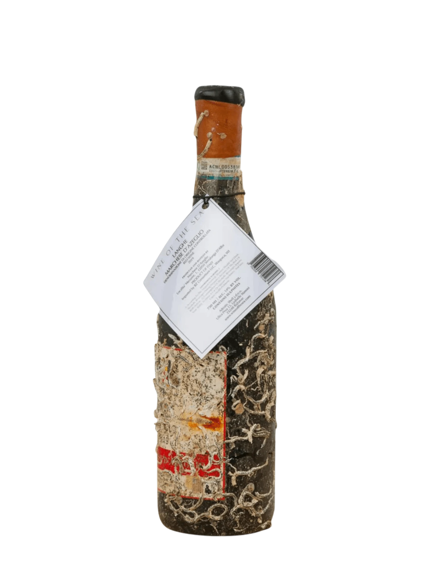 Wine of the Sea Nebbiolo Langhe  2019 750ml