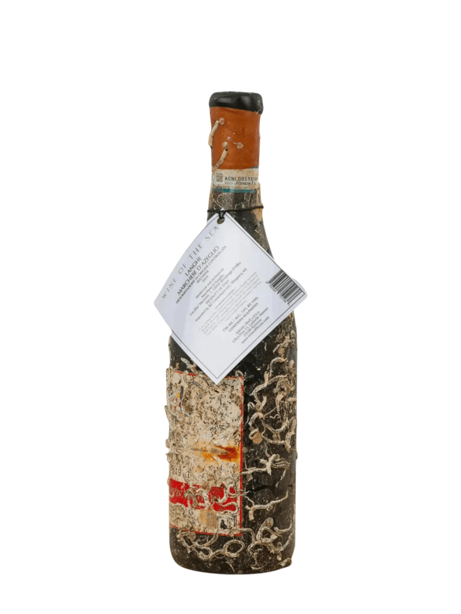 Wine of the Sea Nebbiolo Langhe  2019 750ml