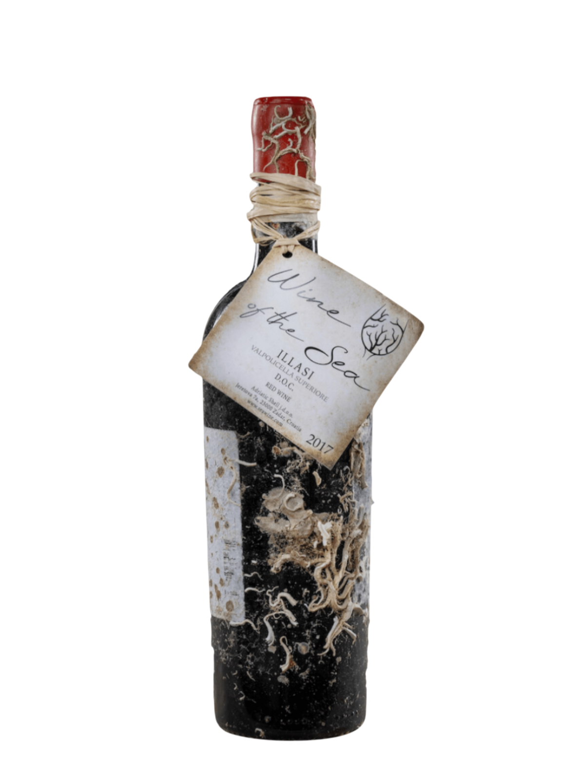 Wine Of The Sea Illasi Valpolicella Superior'.