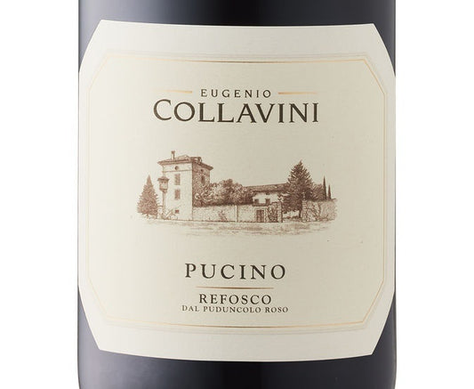 Collavini Pucino Refosco dal Peduncolo Rosso 2022 Wine 750ml